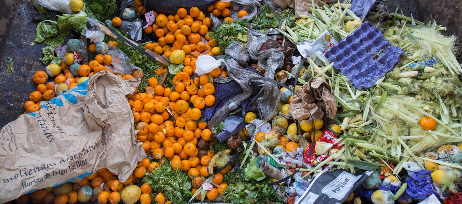 New York Turns Food Waste into ‘Black Gold’ Through Composting Program